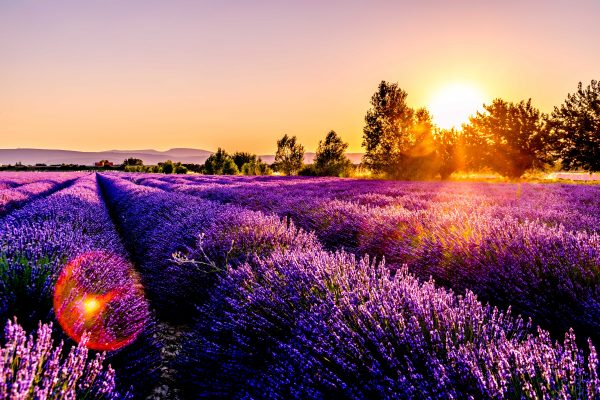 south of France