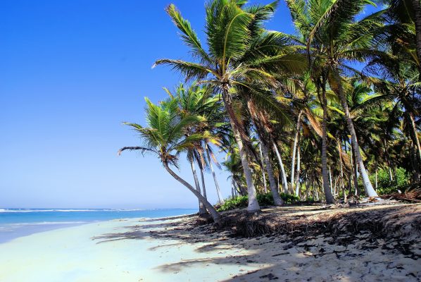 Punta Cana