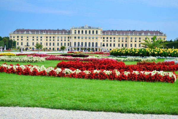 Austria Vienna