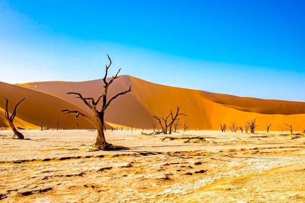 Namibia