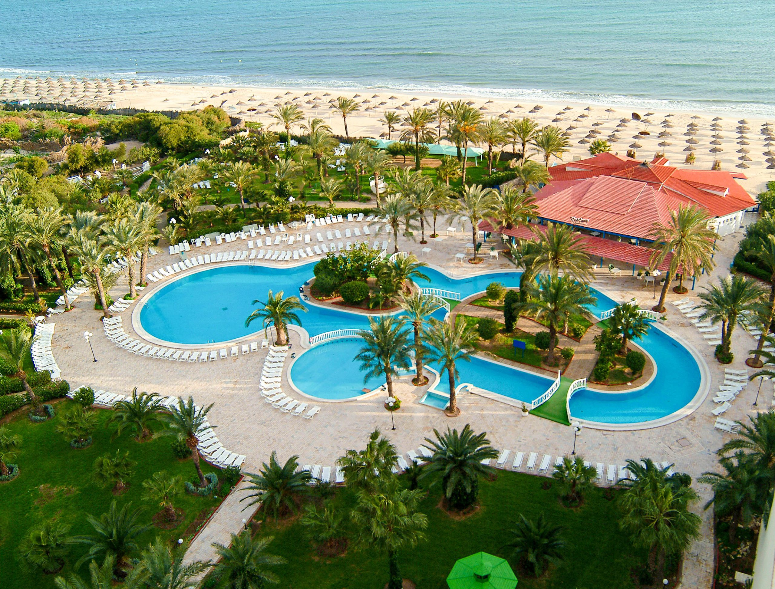 Riadh Palms