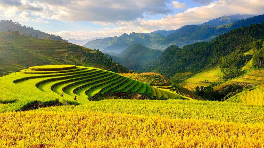 Vietnam