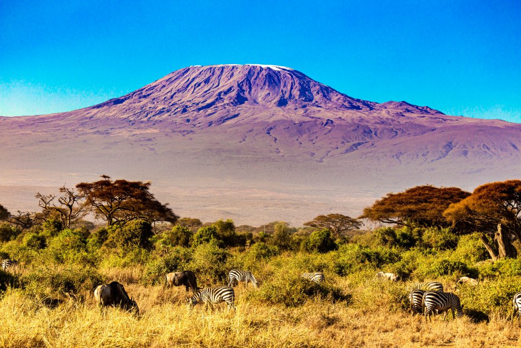 Tanzania Kilimanjaro