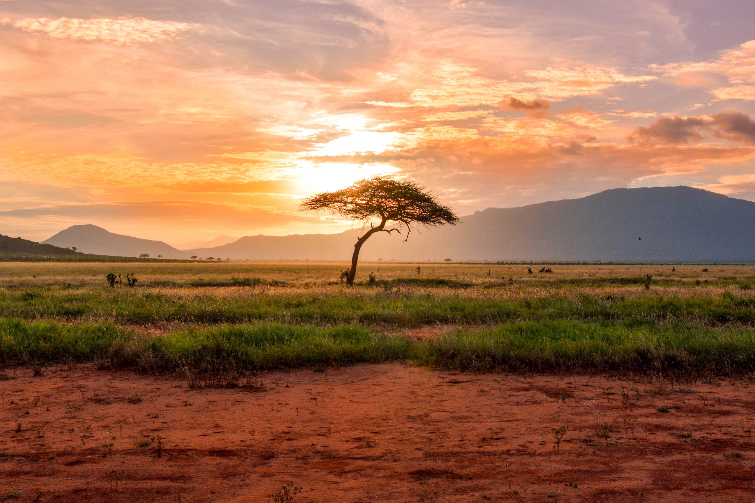 Kenya Tsavo East National Park