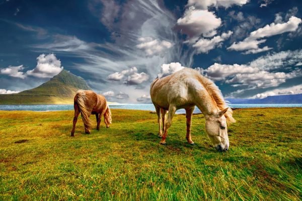 Iceland