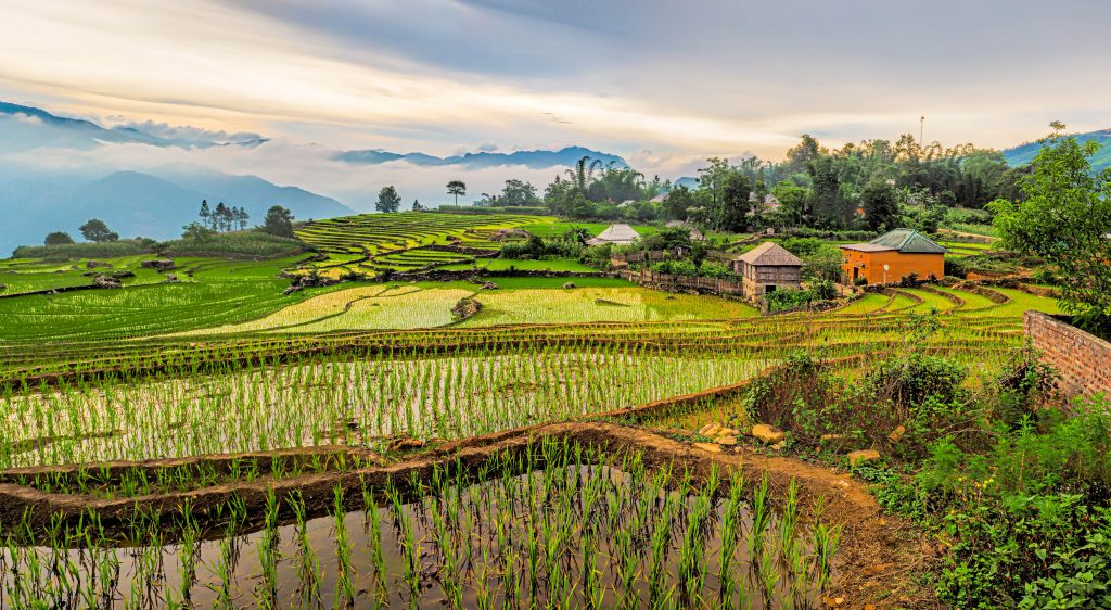 Vietnam
