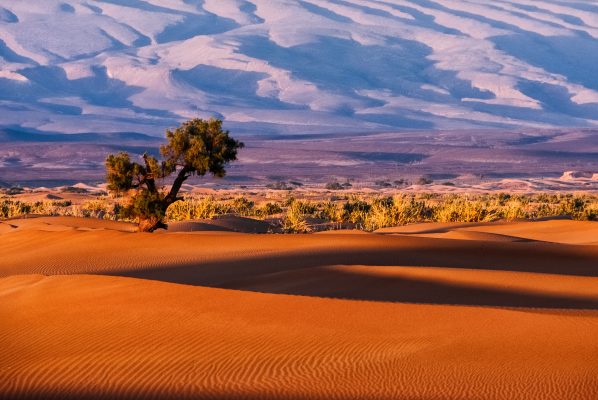 Morocco Tamnougalt