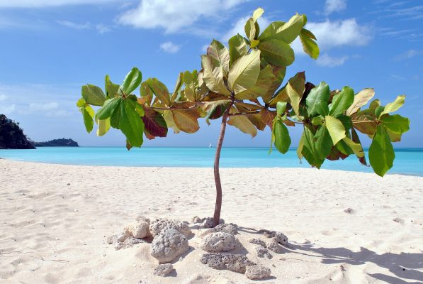 Antigua and Barbuda