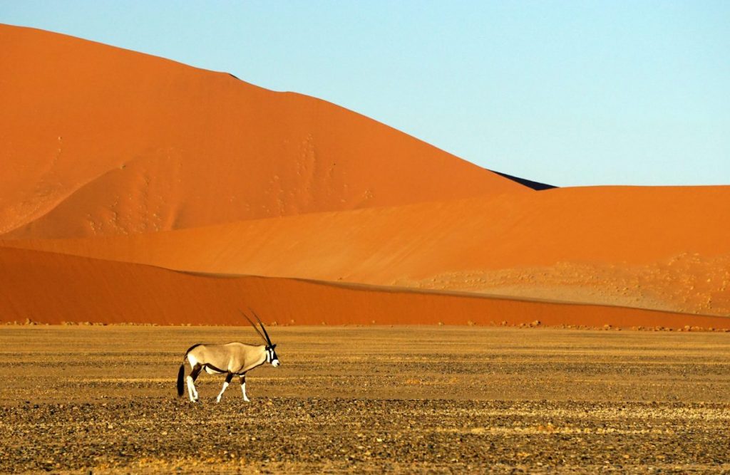 Namibia NamibRand