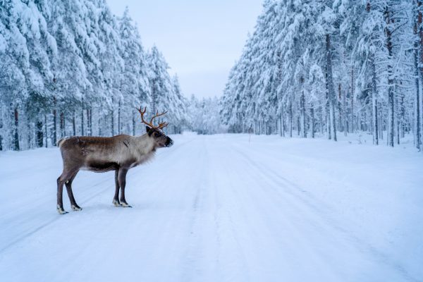 Finland