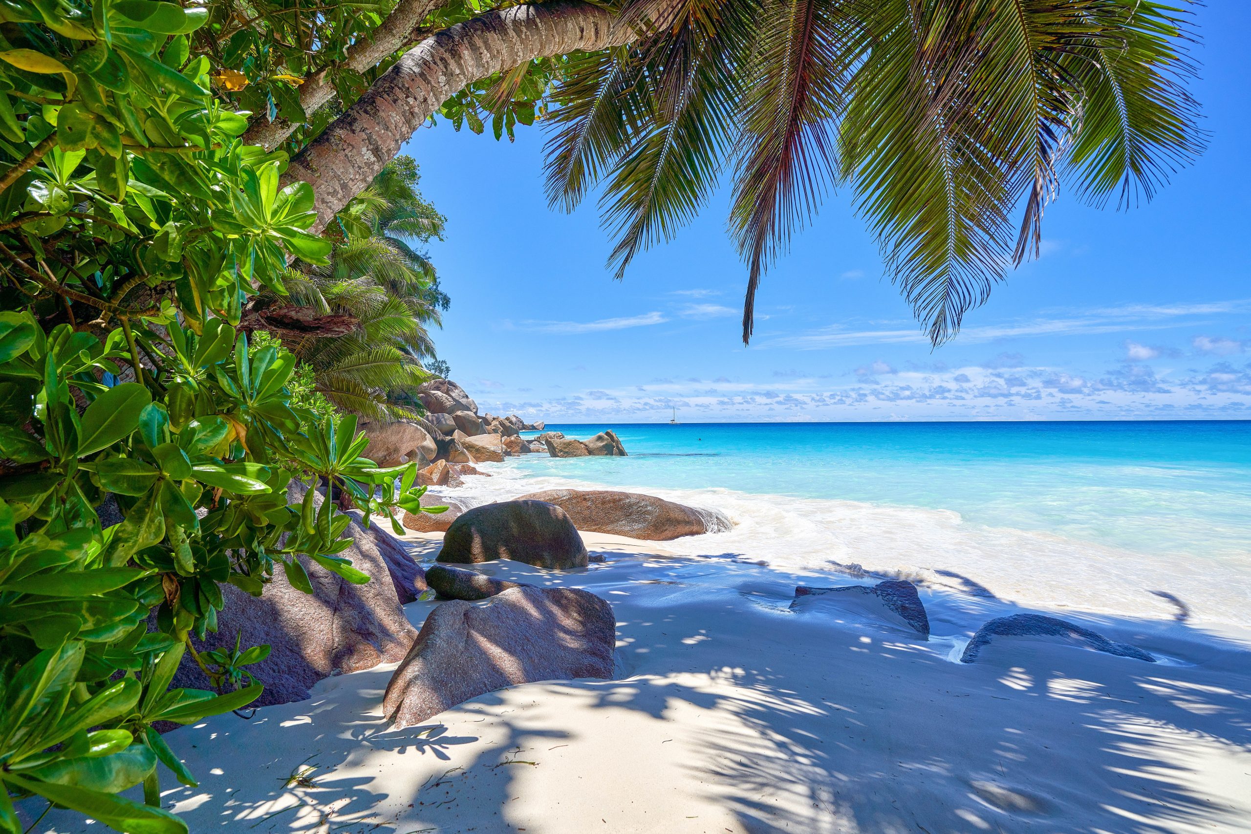 Seychelles Praslin