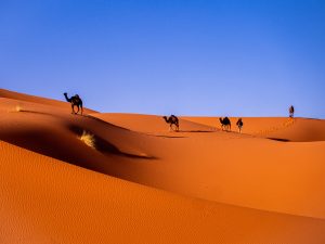 Morocco Merzouga