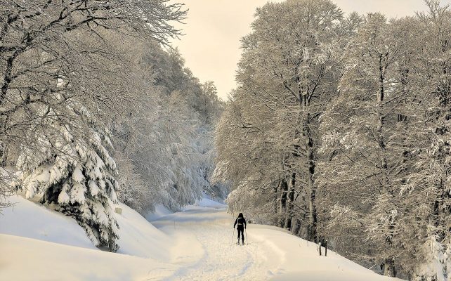 France Pyrenees Irati