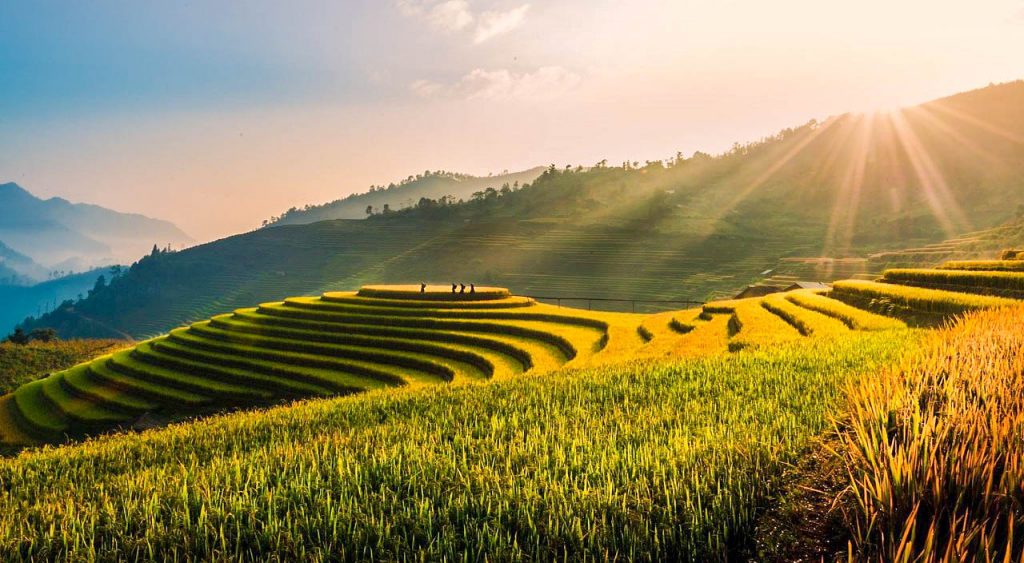 Vietnam