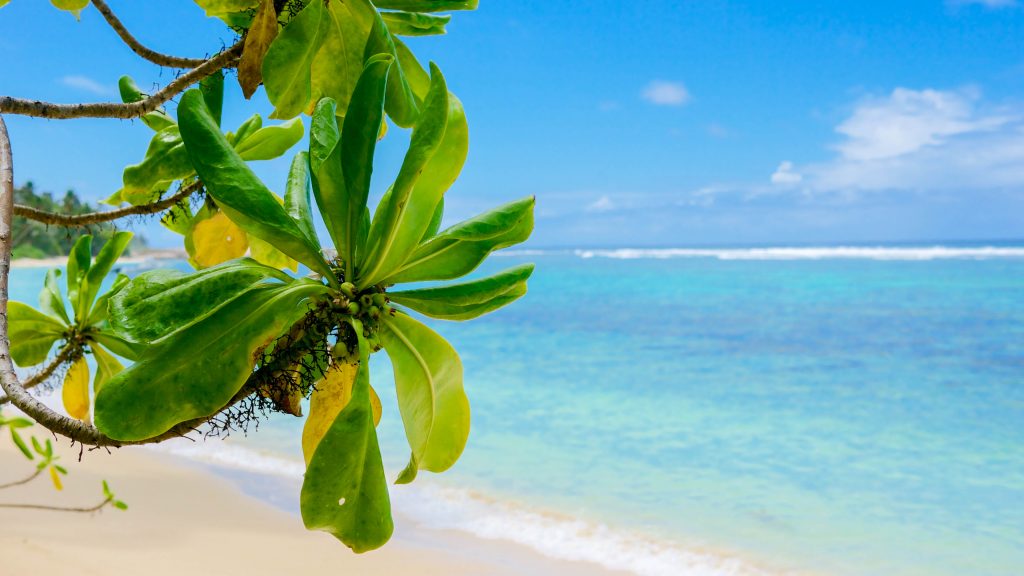 Seychelles