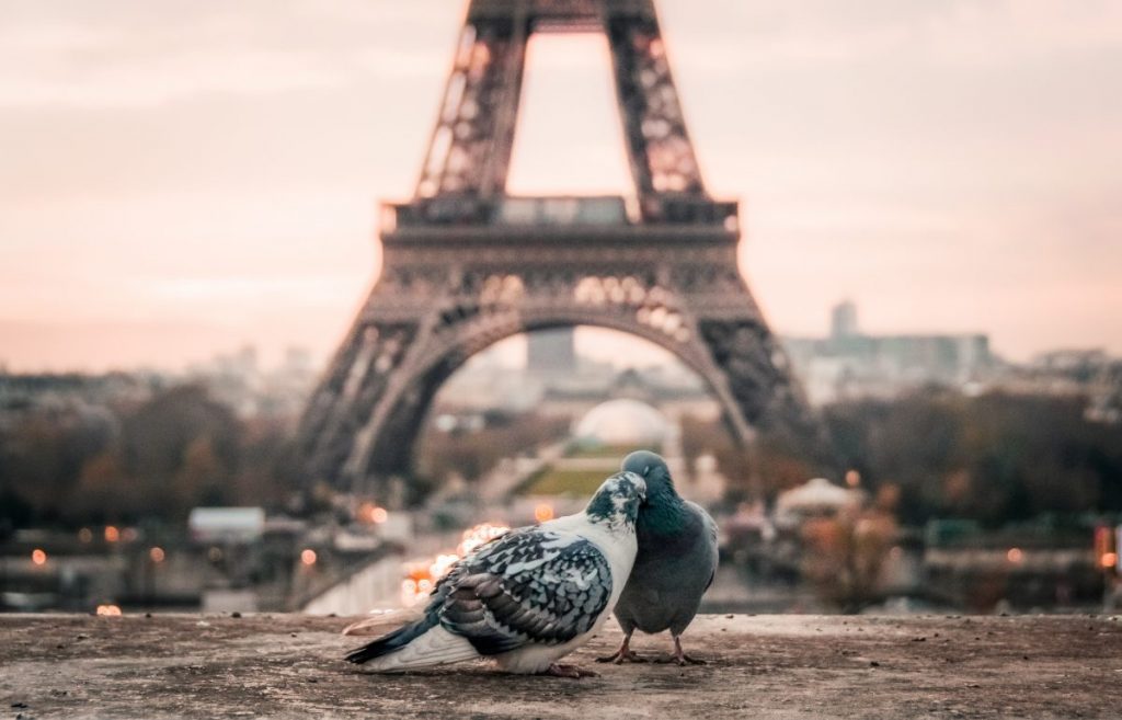 France Paris