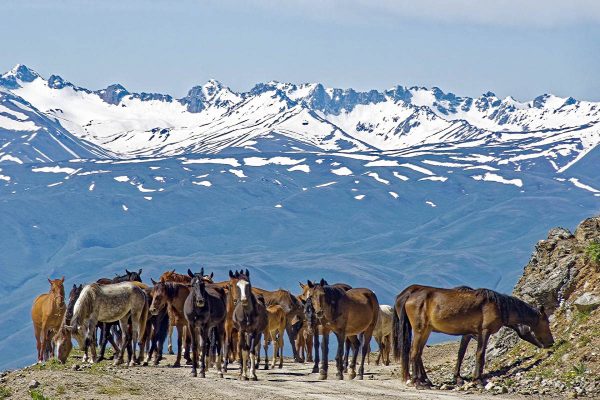 Kyrgyzstan Tien Shan