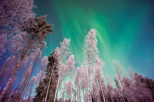 Finland Lapland Aurora