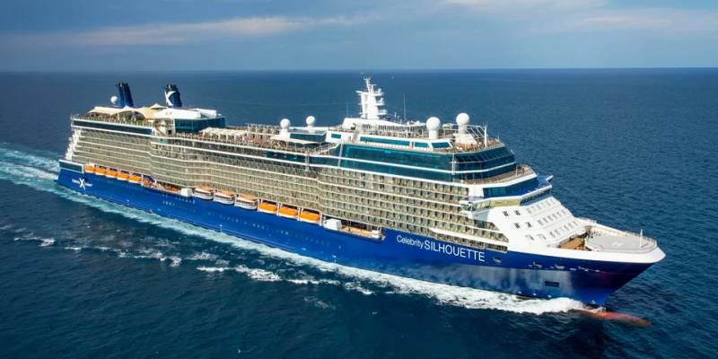 Celebrity Silhouette