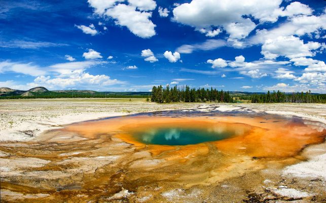 USA Yellowstone
