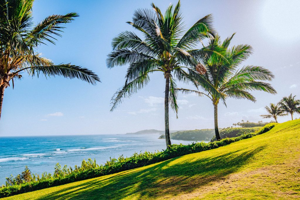 USA Hawaii