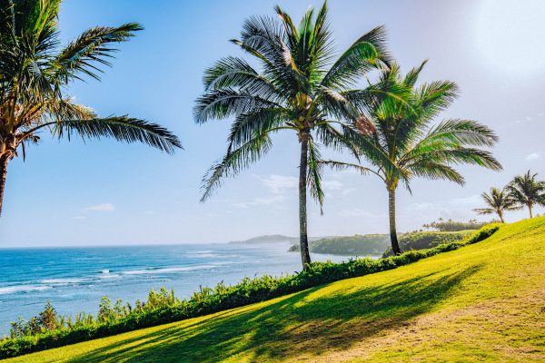 USA Hawaii