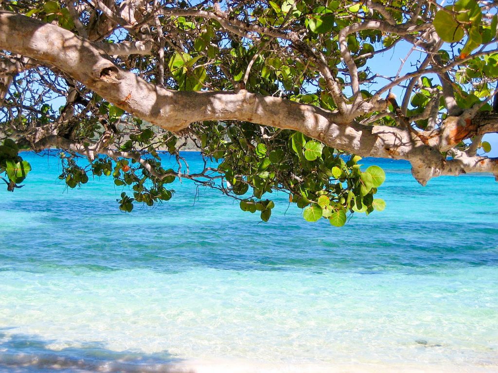Barbados