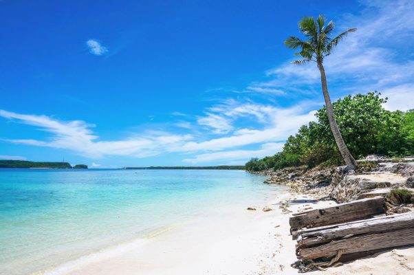 Guam Piti