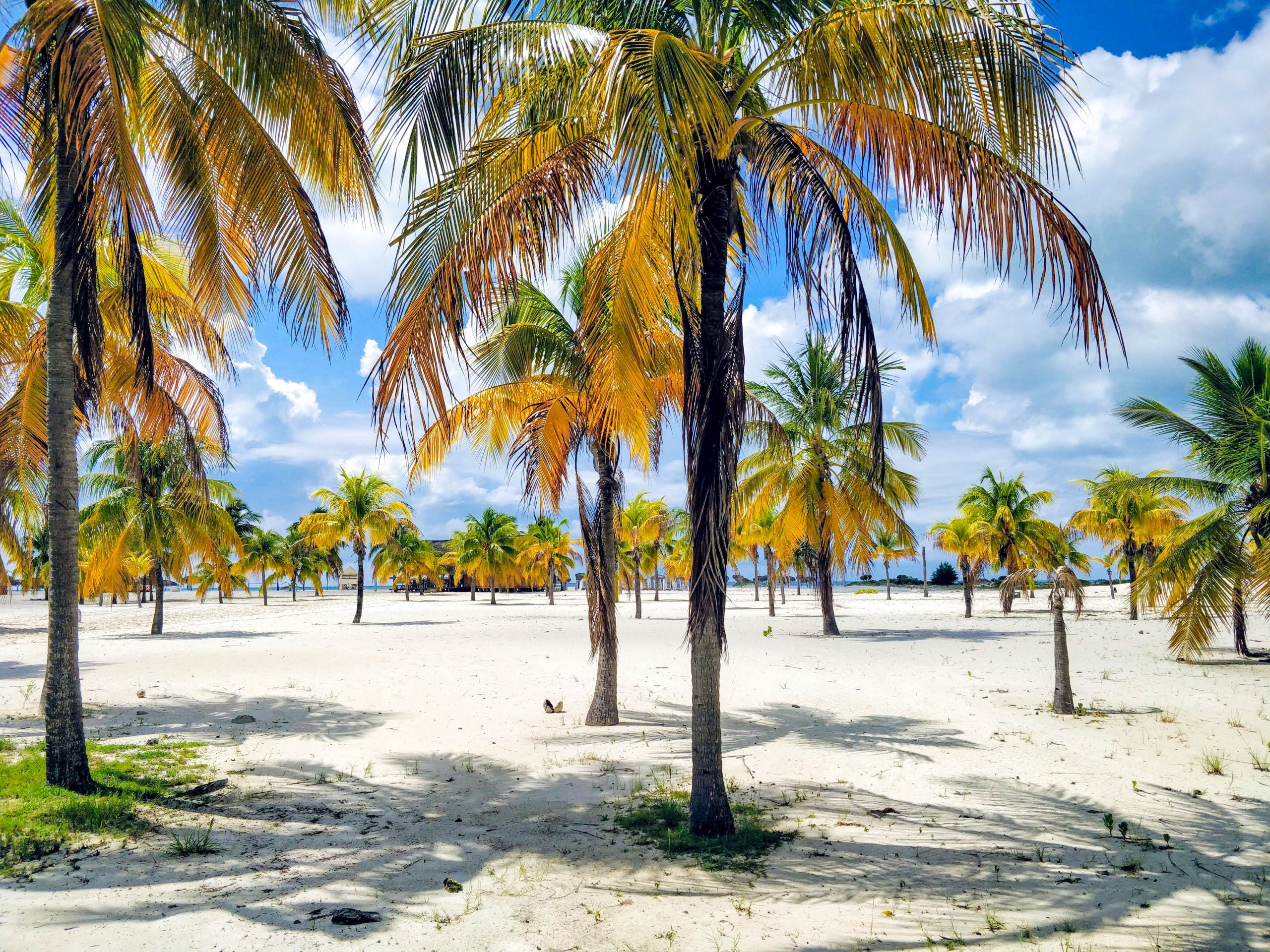 Cuba Cayo Largo del Sur