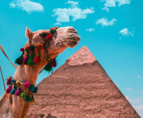 Egypt Cairo Giza