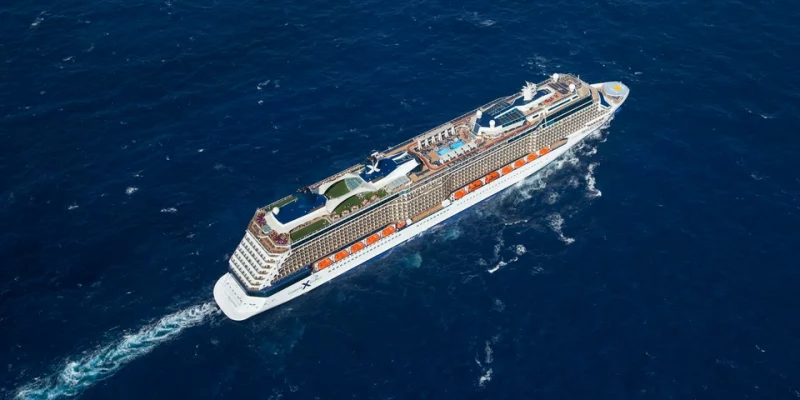Celebrity Reflection