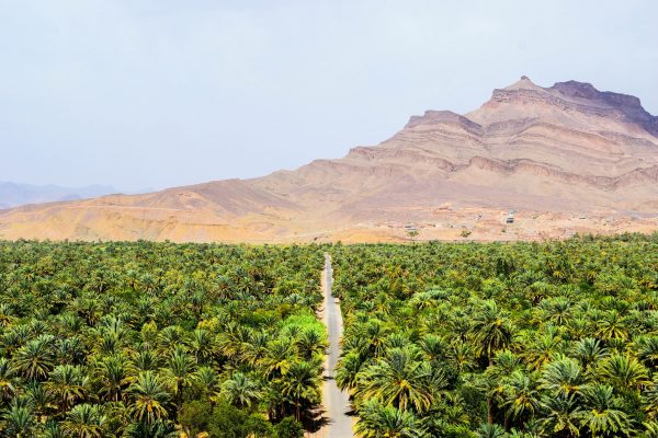 Morocco Ouarzazate