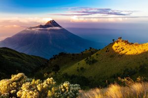 Indonesia Java