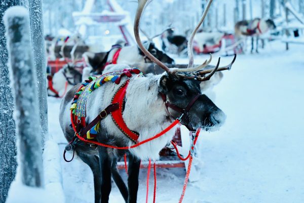 Finland Lapland unsplash
