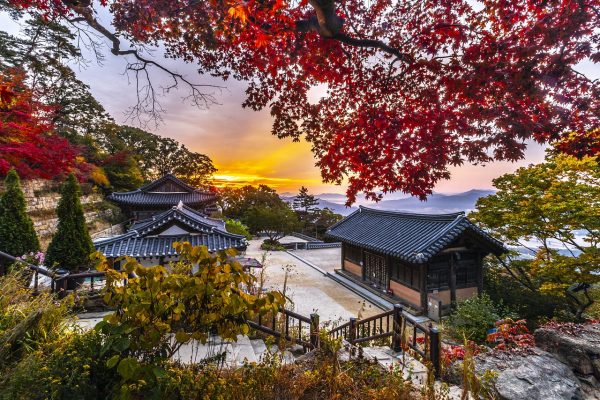 South Korea pixabay