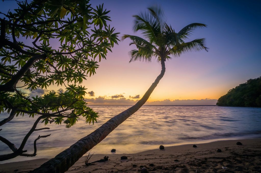Africa beach unsplash