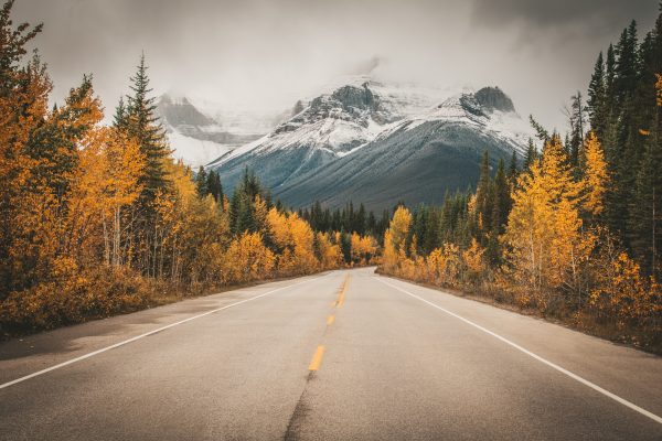 Canada Alberta Calgary unsplash