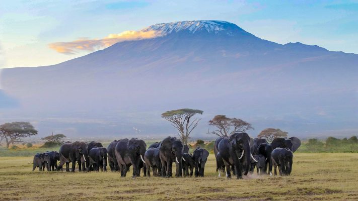 Kenya Kilimanjaro pixabay
