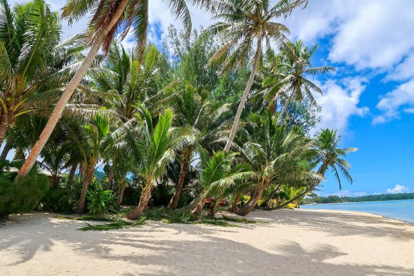 Cook Islands Rarotonga pixabay