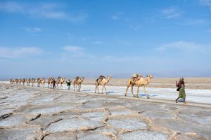 Ethiopia unsplash