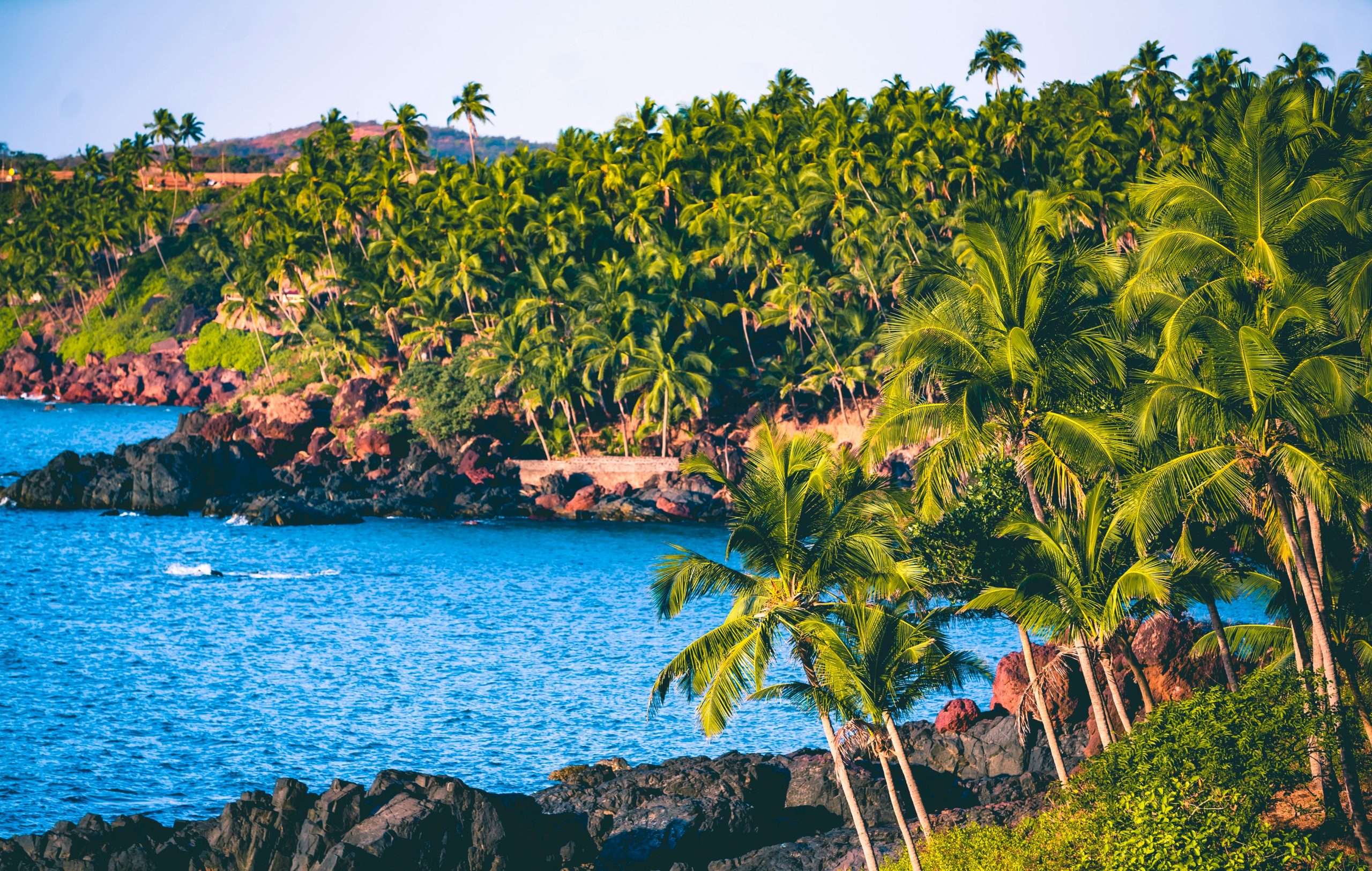 India Goa unsplash