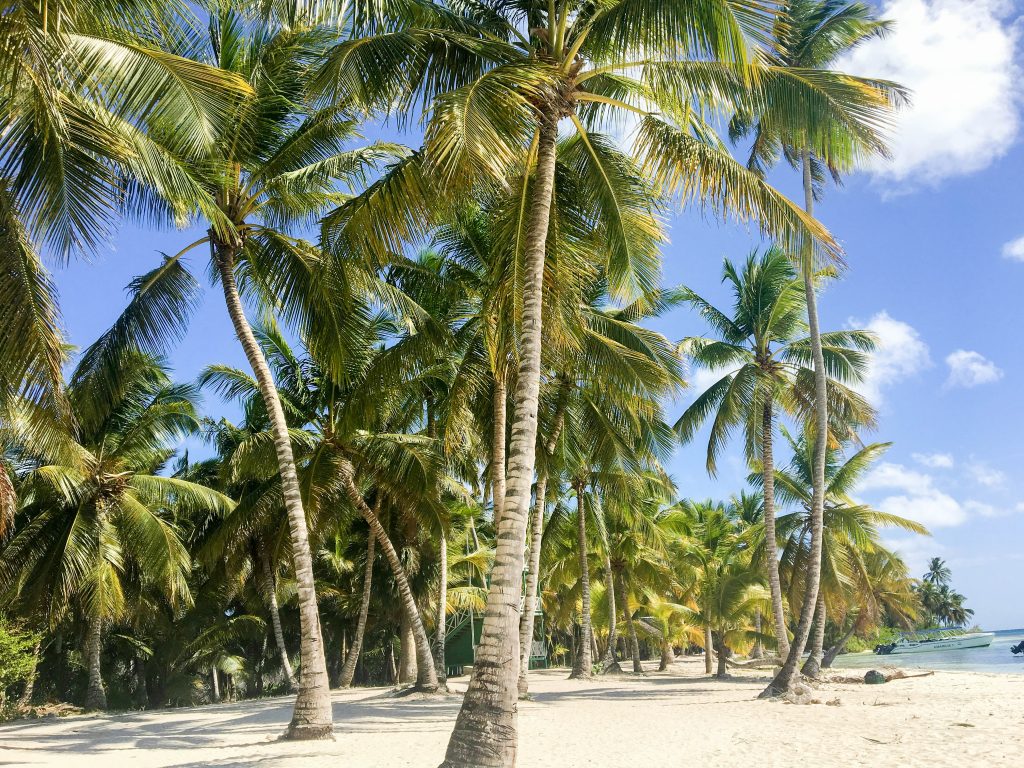 Dominican Republic Isla Saona unsplash