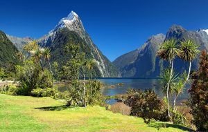 New Zealand Milford Sound pixabay