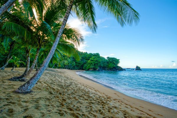 Trinidad and Tobago Englishman unsplash