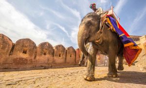 India Jaipur unsplash