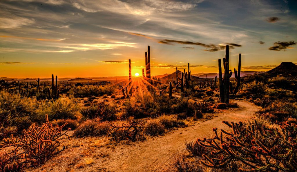 USA Arizona Scottsdale unsplash