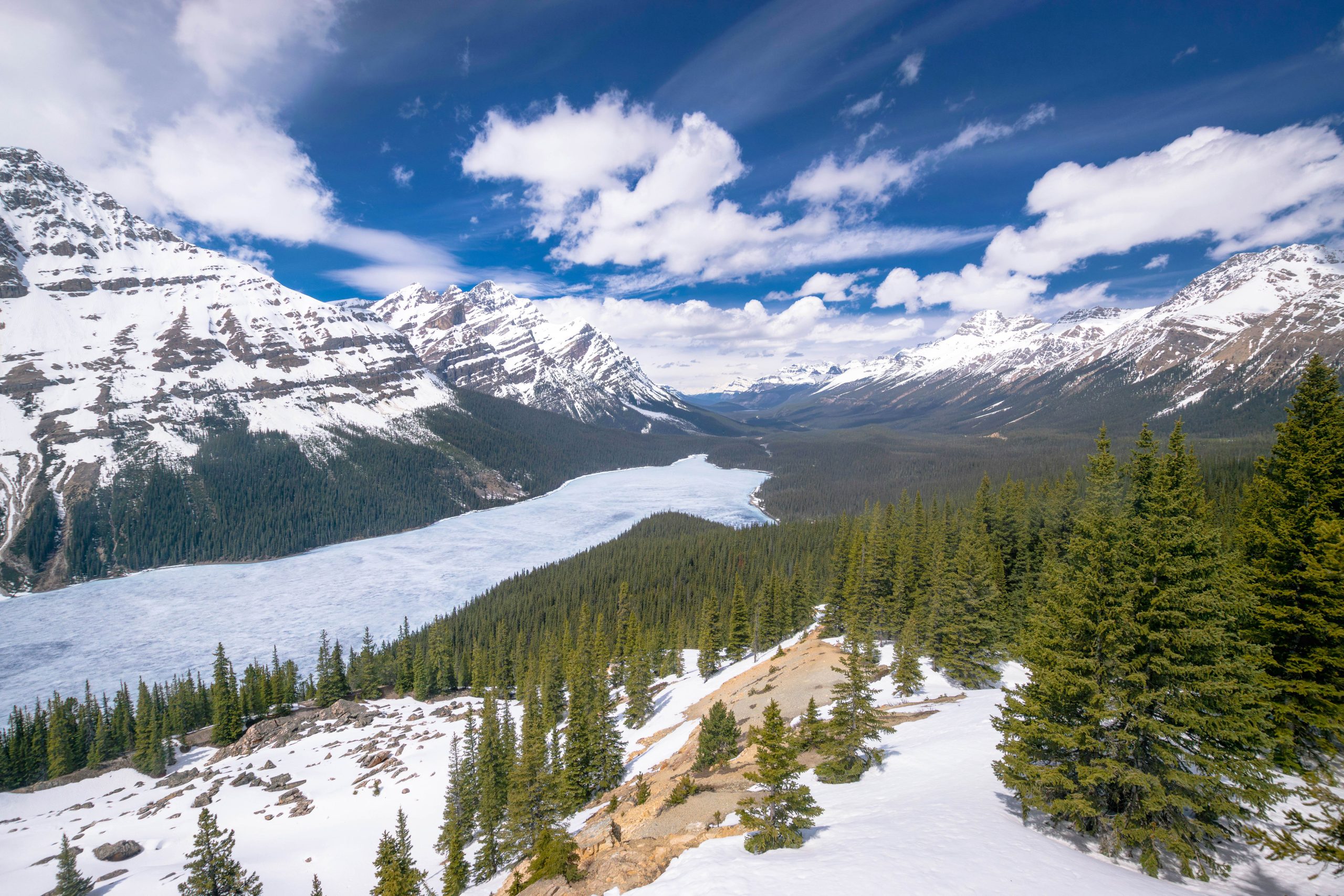 Canada Alberta Calgary unsplash
