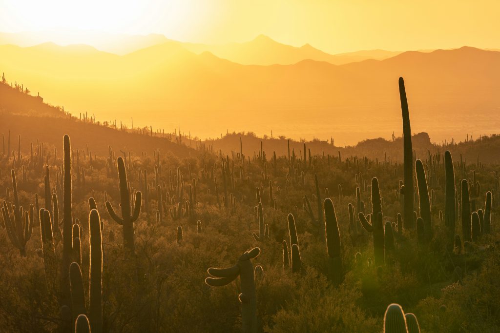USA Arizona unsplash