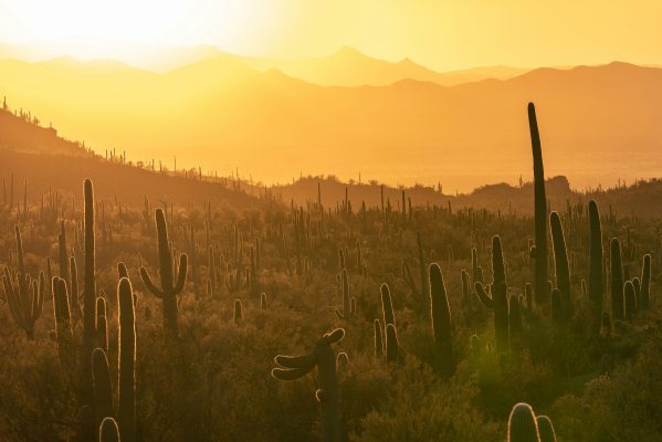 USA Arizona unsplash