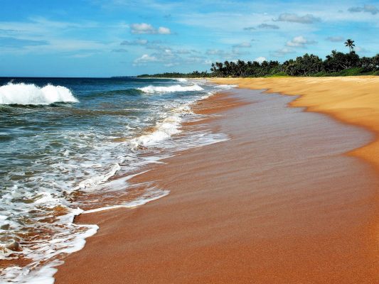 Sri Lanka pixabay